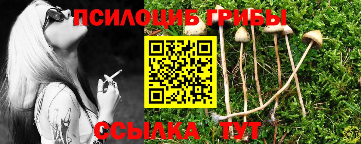 Галлюциногенные грибы мицелий Элиста