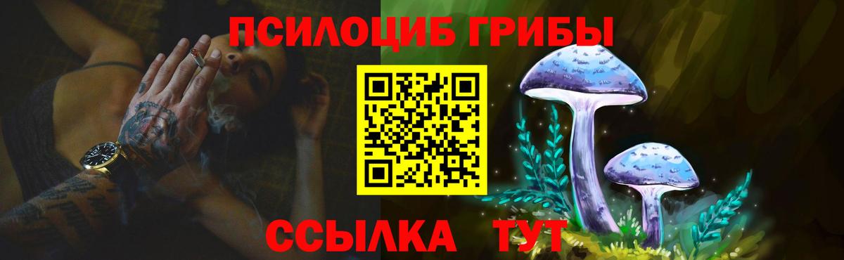 Псилоцибиновые грибы MAGIC MUSHROOMS  Вход с VPN  магазин  наркотиков  Элиста 